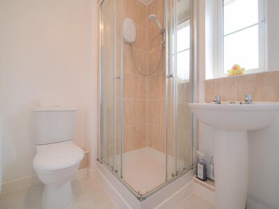 Picture 7